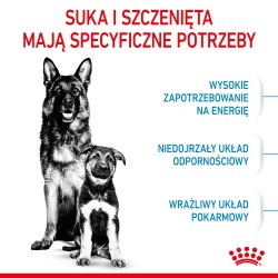 ROYAL CANIN Maxi Starter Mother & Babydog karma sucha dla suk w ciąży i okresie laktacji oraz szczeniąt ras dużych 2x 15kg