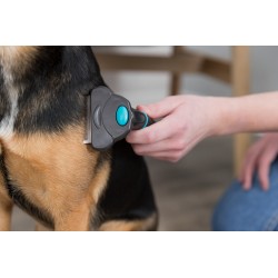 TRIXIE Zgrzebło Carding (8 × 14 cm) - z ostrzem 71,0 mm