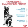ROYAL CANIN Maxi Starter Mother & Babydog karma sucha dla suk w ciąży i okresie laktacji oraz szczeniąt ras dużych 4 kg
