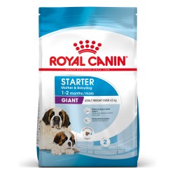 ROYAL CANIN Giant Starter Mother & Babydog karma sucha dla suk w ciąży i laktacji, szczeniąt ras olbrzymich 2x 15kg