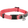 TRIXIE Obroża nylonowa dla kota z adresówką