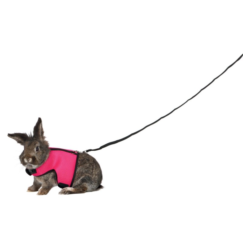 TRIXIE Miękkie szelki ze smyczą dla dużych królików (25–40 cm x 1,20 m)