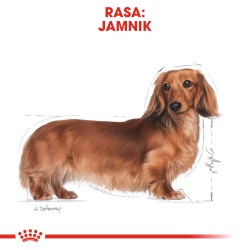 ROYAL CANIN Dachshund Adult karma sucha dla psów dorosłych rasy jamnik 7,5kg