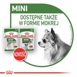 ROYAL CANIN Mini Ageing 12+ karma sucha dla psów dojrzałych ras małych, po 12 roku życia 1,5 kg