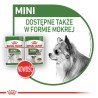 ROYAL CANIN Mini Ageing 12+ karma sucha dla psów dojrzałych ras małych, po 12 roku życia 1,5 kg
