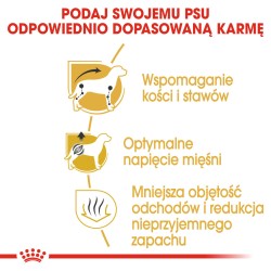 ROYAL CANIN Dachshund Adult karma sucha dla psów dorosłych rasy jamnik 2x 7,5kg