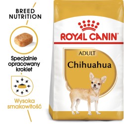 ROYAL CANIN Chihuahua Adult karma sucha dla psów dorosłych rasy chihuahua 500g