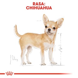 ROYAL CANIN Chihuahua Adult karma sucha dla psów dorosłych rasy chihuahua 500g