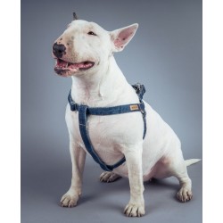 AMIPLAY Szelki regulowane Denim - Granatowe L