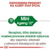 ROYAL CANIN Mini Ageing 12+ karma sucha dla psów dojrzałych ras małych, po 12 roku życia 2x 3,5kg