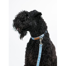 AMIPLAY Obroża regulowana Denim - Niebieska S