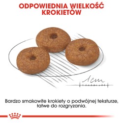 ROYAL CANIN Mini Ageing 12+ karma sucha dla psów dojrzałych ras małych, po 12 roku życia 2x 3,5kg