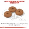 ROYAL CANIN Mini Ageing 12+ karma sucha dla psów dojrzałych ras małych, po 12 roku życia 2x 3,5kg