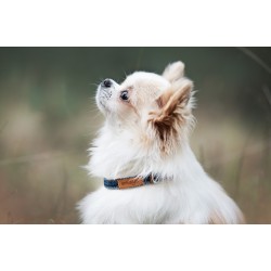 AMIPLAY Obroża regulowana Denim - Granatowa M