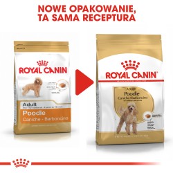 ROYAL CANIN Poodle Adult karma sucha dla psów dorosłych rasy pudel miniaturowy 1,5kg