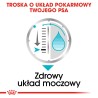 ROYAL CANIN CCN Urinary Care karma mokra - pasztet dla psów dorosłych, ochrona dolnych dróg moczowych 24x 85g