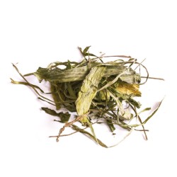 TIVO Zioła dla gryzoni - Babka lancetowata 150g