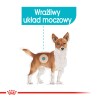 ROYAL CANIN CCN Urinary Care karma mokra - pasztet dla psów dorosłych, ochrona dolnych dróg moczowych 48x 85g