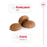 ROYAL CANIN Medium Adult 7+ karma sucha dla psów starszych ras średnich, od 7 do 10 roku życia 15 kg