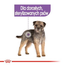 ROYAL CANIN Sterilised karma mokra - pasztet dla psów dorosłych, sterylizowanych 24x 85g