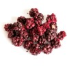 TIVO Owoce liofilizowane dla gryzoni - Jeżyna 20g