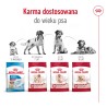 ROYAL CANIN Medium Adult 7+ karma sucha dla psów starszych ras średnich, od 7 do 10 roku życia 15 kg