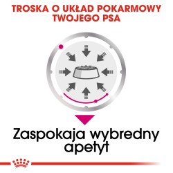 ROYAL CANIN CCN Mini Exigent karma mokra - pasztet dla psów dorosłych ras małych, wybrednych 85g