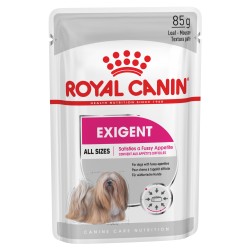 ROYAL CANIN CCN Mini Exigent karma mokra - pasztet dla psów dorosłych ras małych, wybrednych 24x 85g
