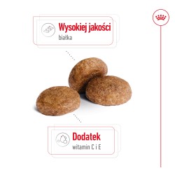 ROYAL CANIN Medium Adult 7+ karma sucha dla psów starszych ras średnich, od 7 do 10 roku życia 2x 15kg
