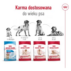 ROYAL CANIN Medium Adult 7+ karma sucha dla psów starszych ras średnich, od 7 do 10 roku życia 2x 15kg