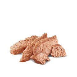 ROYAL CANIN Shih Tzu Adult Wet karma mokra – pasztet dla psów dorosłych rasy shih tzu 12x 85g