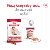 ROYAL CANIN Medium Adult 7+ karma sucha dla psów starszych ras średnich, od 7 do 10 roku życia 2x 15kg