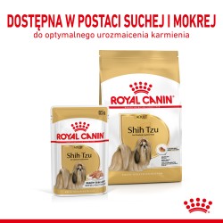 ROYAL CANIN Shih Tzu Adult Wet karma mokra – pasztet dla psów dorosłych rasy shih tzu 12x 85g