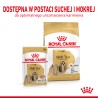 ROYAL CANIN Shih Tzu Adult Wet karma mokra – pasztet dla psów dorosłych rasy shih tzu 85g