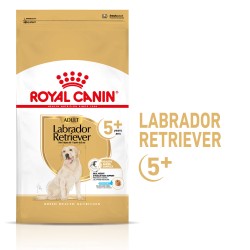 ROYAL CANIN Labrador Retriever Adult 5+ karma sucha dla dojrzałych psów rasy labrador retriever, powyżej 5 roku życia 3 kg