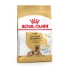 ROYAL CANIN German Shepherd Adult 5+ karma sucha dla dorosłych psów rasy owczarek niemiecki, powyżej 5 roku życia 12 kg