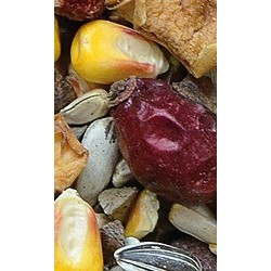 NATURAL-VIT Karma całoroczna dla dzikich ptaków z owocami 400g