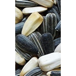 NATURAL-VIT Karma dla dzikich ptaków słonecznikowa 350g