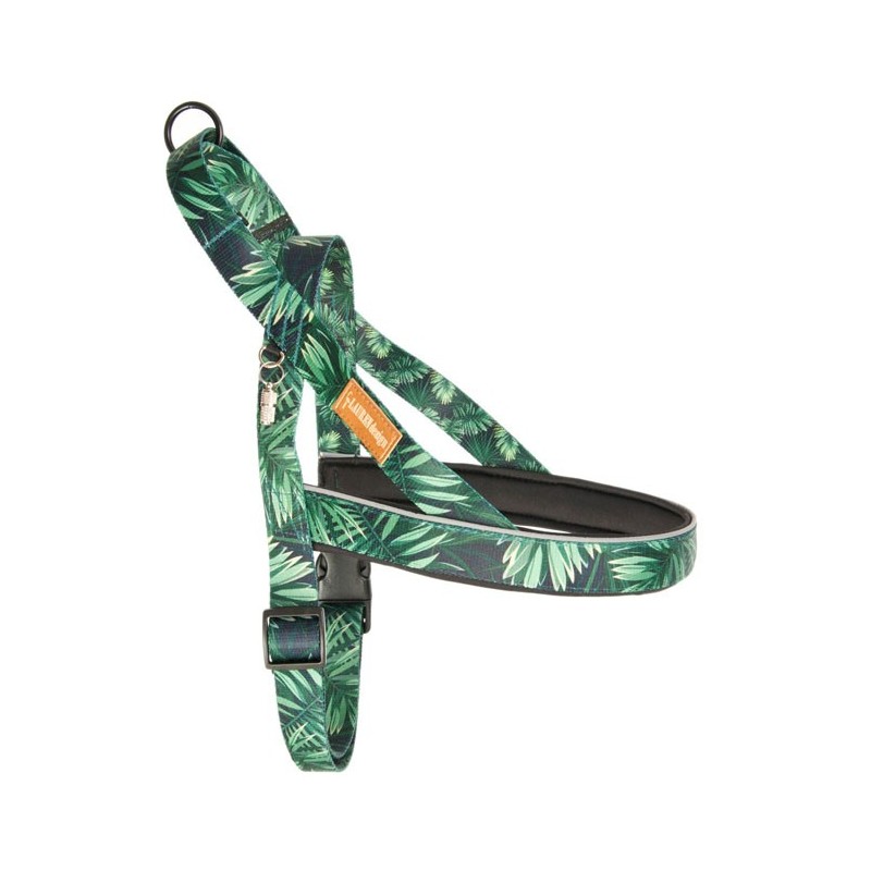 LAUREN DESIGN Color Szelki norweskie - forest XL