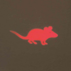 Wskaźnik laserowy LED mysz 11cm