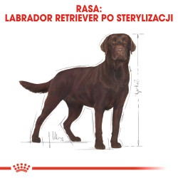 ROYAL CANIN Labrador Retriever Sterilised Adult karma sucha dla psów dorosłych, rasy labrador retriever, sterylizowanych 2x 12kg