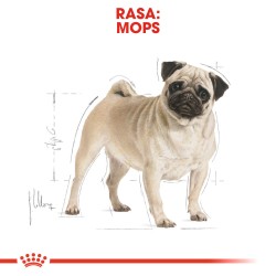 ROYAL CANIN Pug Adult karma sucha dla psów dorosłych rasy mops 2x 1,5kg