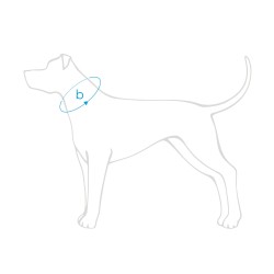 AMIPLAY Obroża półzaciskowa Samba - Różowa M