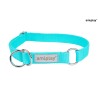 AMIPLAY Obroża półzaciskowa Samba - Turkusowa M