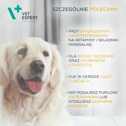 VETEXPERT Multivitamin Witalność 30kaps. (Twist Off)