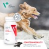 VETEXPERT Joints and Mobility - Stawy i mobilność 30kaps. (Twist Off)
