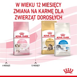 ROYAL CANIN Kitten karma sucha dla kociąt od 4 do 12 miesiąca życia 4 kg