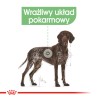 ROYAL CANIN Maxi Digestive Care karma sucha dla psów dorosłych, ras dużych o wrażliwym przewodzie pokarmowym 12kg