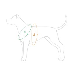 AMIPLAY Szelki regulowane EASY GO Samba - Zielone XL