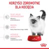ROYAL CANIN Kitten karma sucha dla kociąt od 4 do 12 miesiąca życia 10 kg